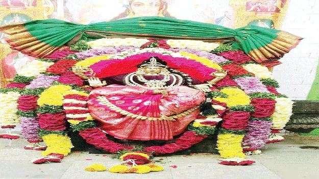 కొలువుదీరిన అమ్మవారు