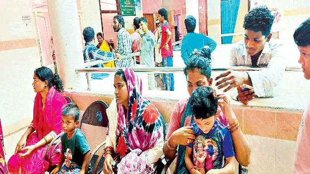 కందిరీగల దాడి