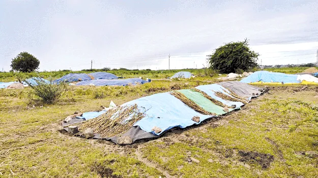 కోడుమూరు మండలంలో భారీ వర్షం