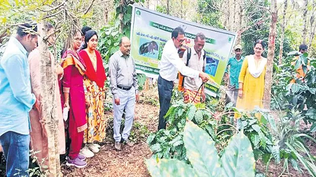 గత్తరగుడ కాఫీ తోటల సందర్శన