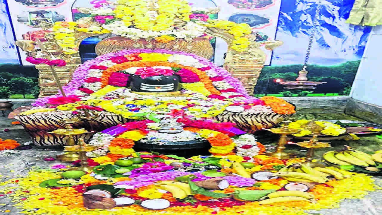 GOD: ఘనంగా కార్తీకమాస పూజలు