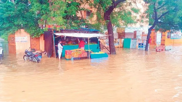 ఉమ్మడి జిల్లావ్యాప్తంగా వర్షం