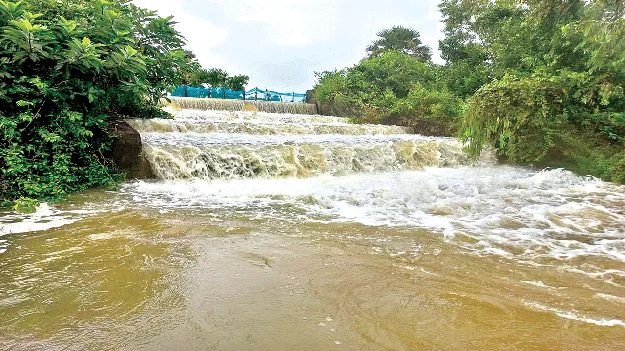 water in all  జలమయం