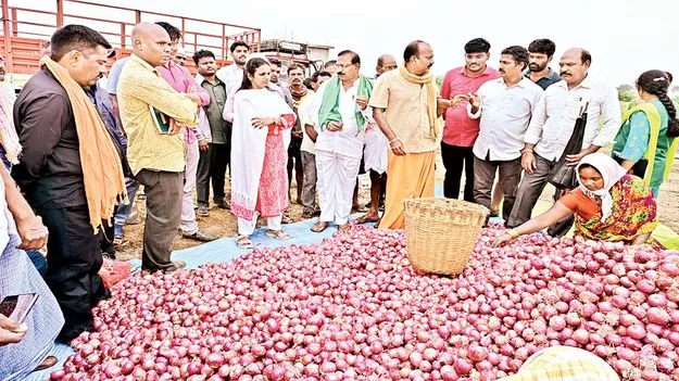 ఉల్లి రైతులను ఆదుకుంటాం 