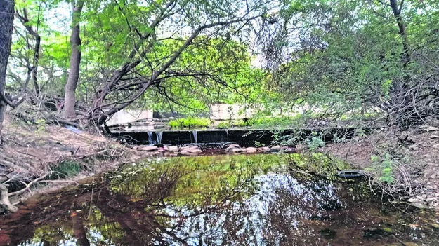 CHECK DAM: చెక్‌ డ్యాంల నిర్వహణ అస్తవ్యస్తం