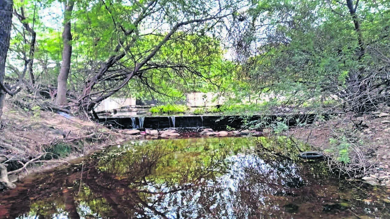 CHECK DAM: చెక్‌ డ్యాంల నిర్వహణ అస్తవ్యస్తం