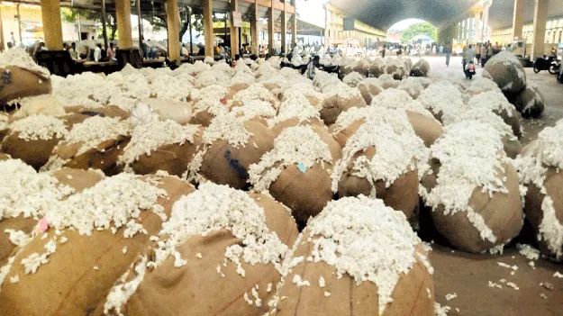 మొరాయించిన ఈనామ్‌ సర్వర్‌