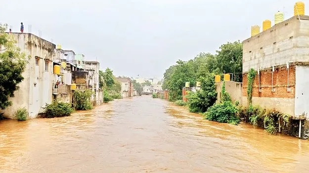    రైతును ముంచిన  మొంథా