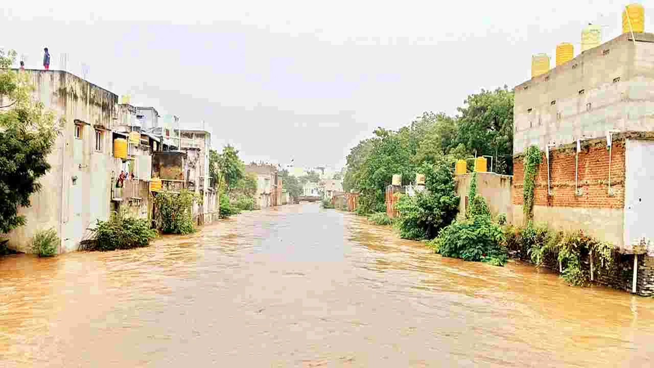    రైతును ముంచిన  మొంథా