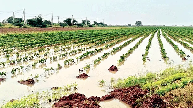 దడ పుట్టించిన ‘మొంథా’