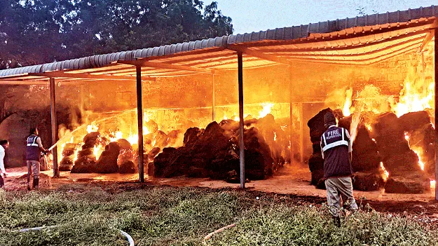 గోనె సంచులకు నిప్పు