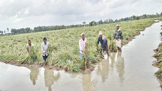 మొంథా నష్టం రూ 1.24 కోట్లు