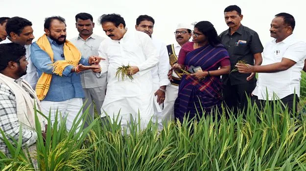 ముంచిన మొంథా