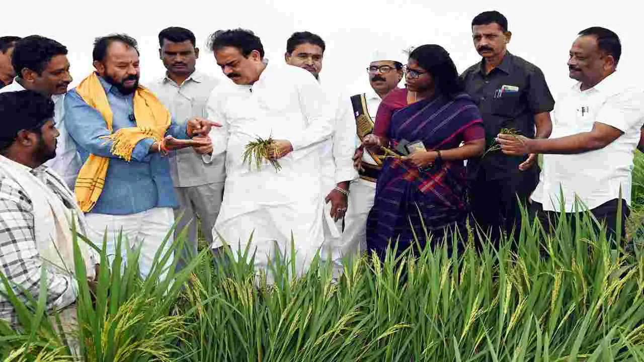 ముంచిన మొంథా