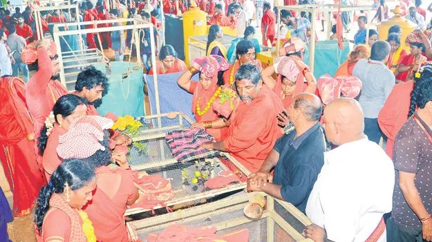 Kanaka Durga Temple: జయహో భవానీ!