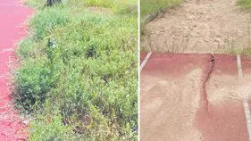 Medak Stadium Left Abandoned: అటే పాయె!