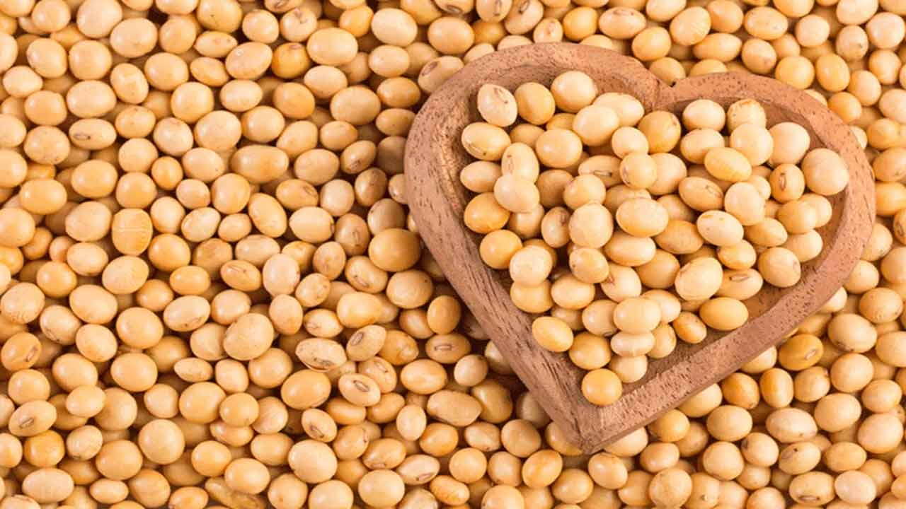 Good Sleep: ప్రశాంతంగా నిద్ర పట్టాలంటే ఇవి తినండి..