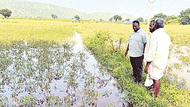 సమగ్ర వివరాలతో ప్రభుత్వానికి అందజేస్తాం