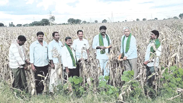 పంటలు నష్టపోయిన రైతులను ఆదుకుంటాం