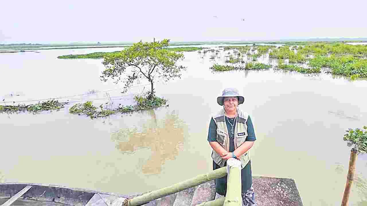 Sonali Ghosh: సవాళ్ళకు ఎదురు నిలిచి...