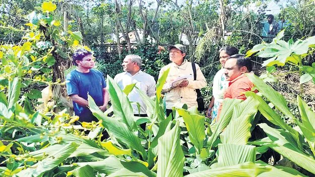 ప్రకృతి వ్యవసాయానికి అధిక ప్రాధాన్యం