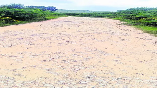 ROAD: కంకర తేలిన రోడ్డు