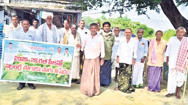 నల్లబర్లీ సాగుపై నిషేధం 