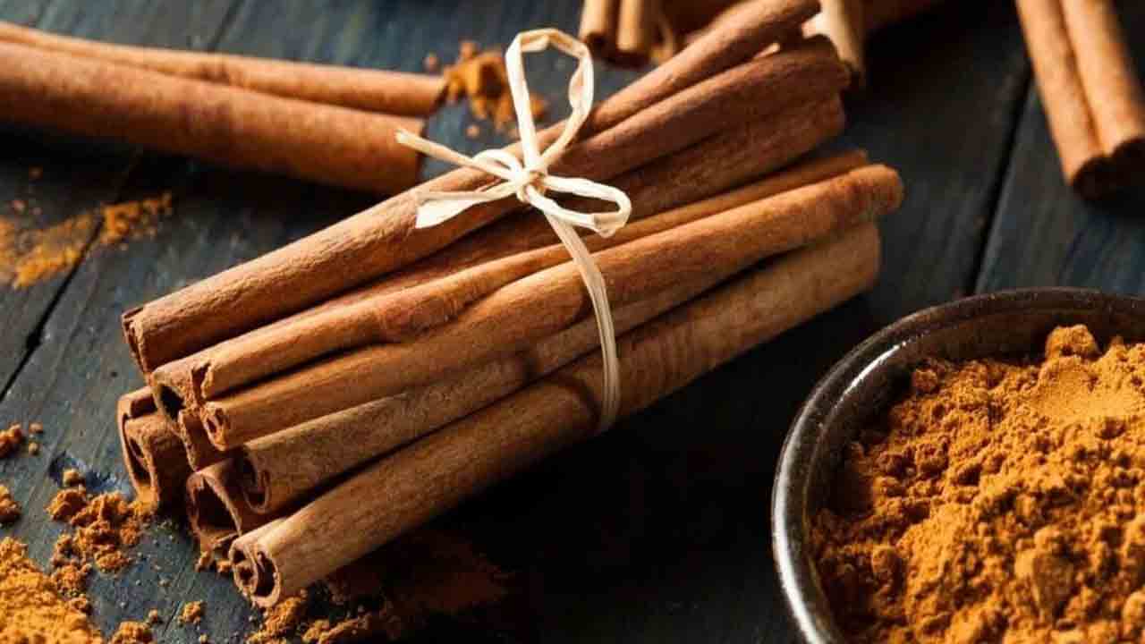 Diwali Rituals Prosperity: దీపావళి ప్రార్థనలకు శక్తినిచ్చే సాధారణ ఆచారాలు..