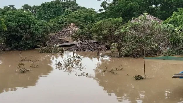 చిగురించిన ఆశలు!