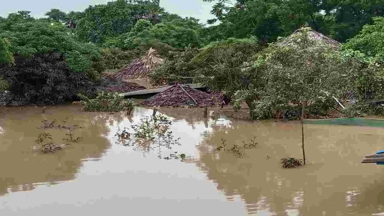 చిగురించిన ఆశలు!