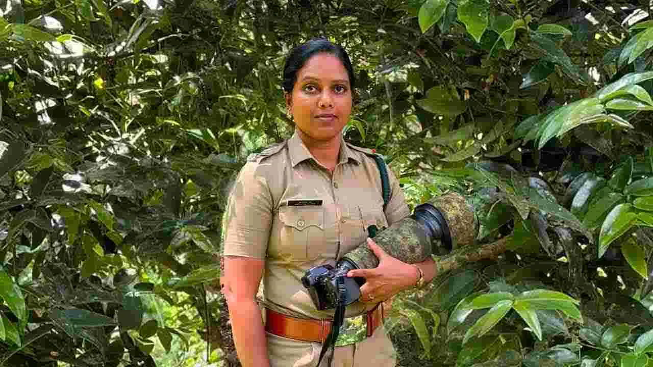 The Story of Bismi Wills: అడవిలో ఫొటోగ్రాఫర్‌గా మారి..