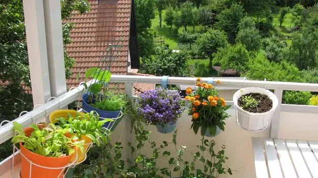 Home Gardening Tips: మొక్కలు ఎండిపోతున్నాయా