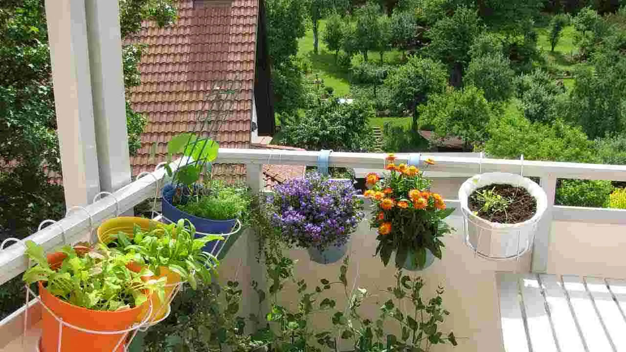 Home Gardening Tips: మొక్కలు ఎండిపోతున్నాయా