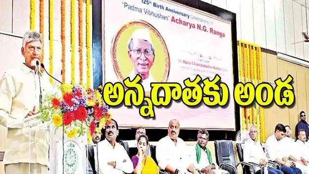 AP CM Chandrababu Naidu: అన్నదాతకు అండ