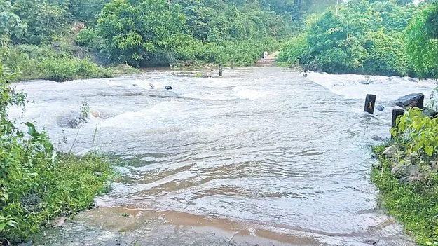 తగ్గని వాగుల ఉధృతి