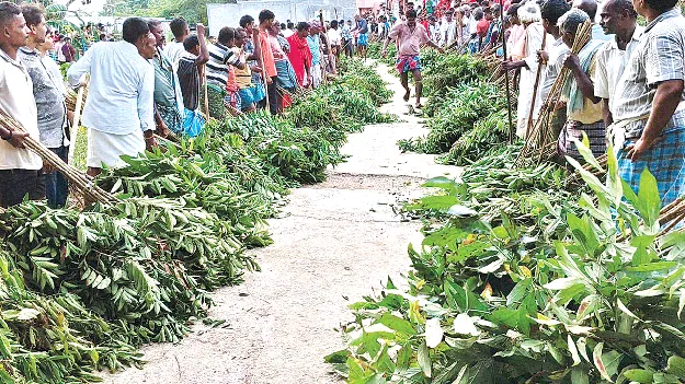 భక్తిశ్రద్ధలతో పత్తిరి కొమ్మల పూజ