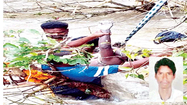 బ్రాహ్మణతర్లా వద్ద పొదల్లో చిక్కుకుని..