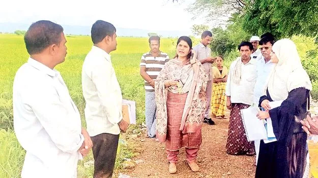 పంట నష్టం సర్వే పూర్తి చేయండి : కలెక్టర్‌ 