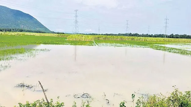 నదుల్లో తగ్గని వరద