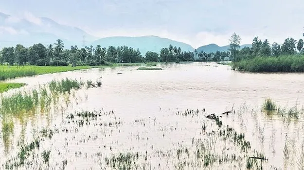 పొంగిన జాగారం గెడ్డ