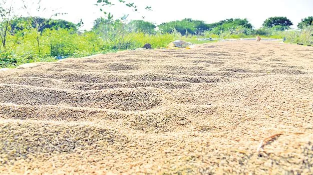 ఒడ్డున..పడుతున్నారు!