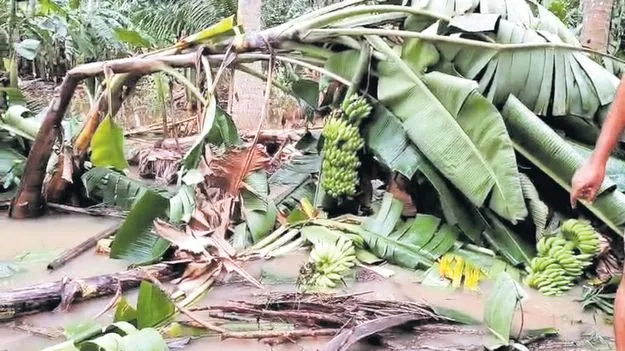 కష్టం.. నష్టమై..