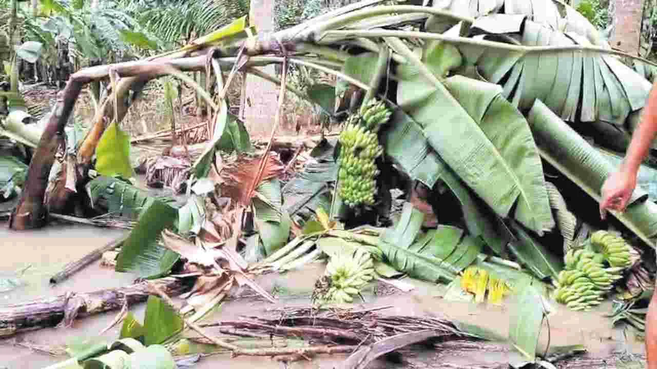 కష్టం.. నష్టమై..