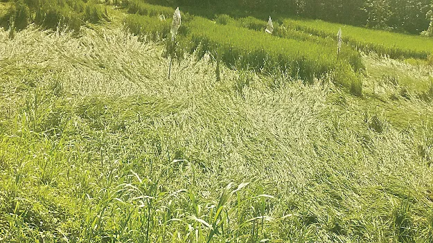 బాధితులకు అండగా..