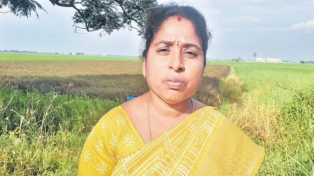 Swati Yarru Turns to Organic Farming: సేంద్రియమే ఆరోగ్యరక్ష