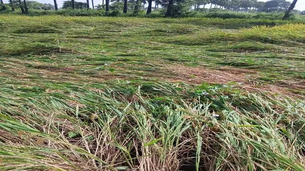 జిల్లాపై ‘మొంథా’ ఎఫెక్ట్‌