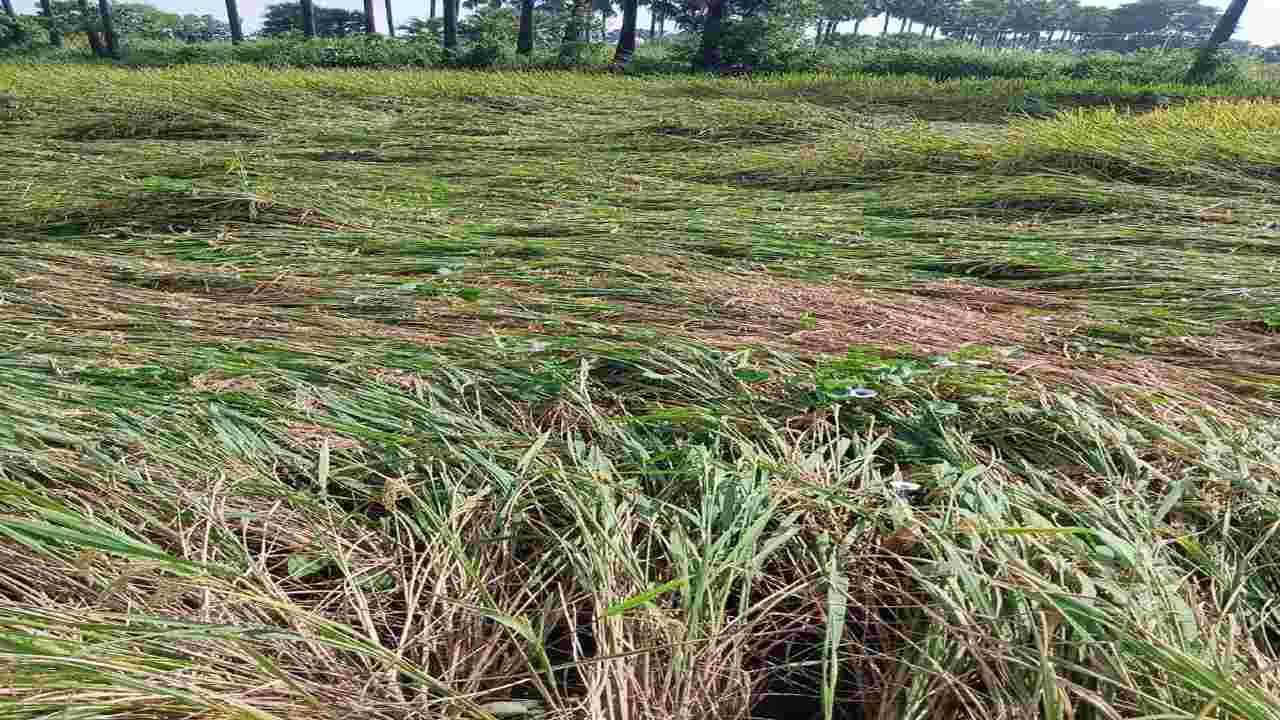 జిల్లాపై ‘మొంథా’ ఎఫెక్ట్‌