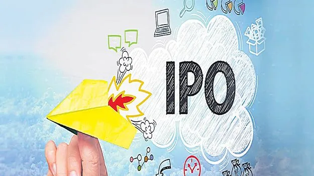 IPO Rush in the Market: మార్కెట్లో ఐపీఓ రష్‌