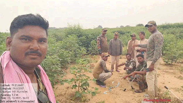 మళ్లీ పెద్దపులి కదలికలు