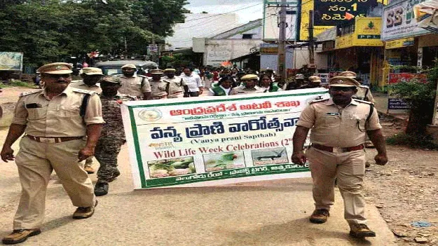 ప్లాస్టిక్‌ వస్తువులు వాడరాదు